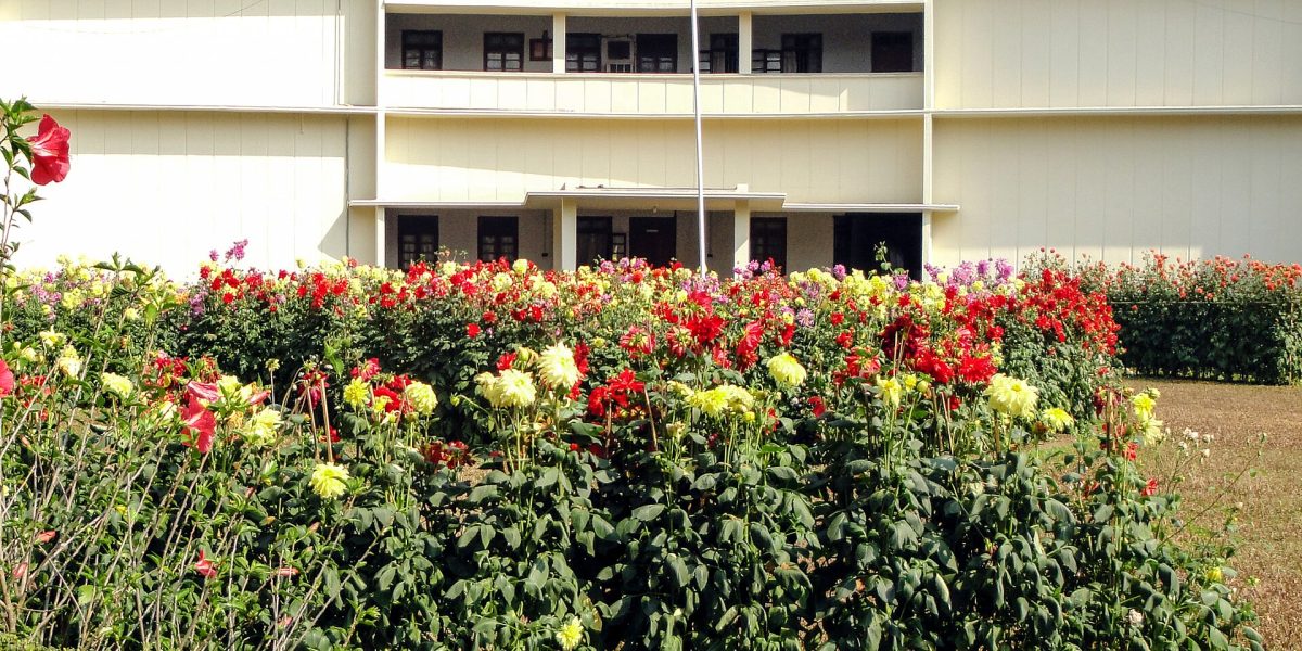 Science job cuts — research institute