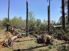 Severe weather warnings — wind damage