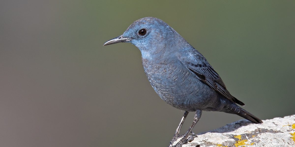 Conservation funding policy — nature reserve