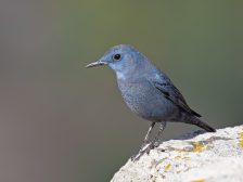 Conservation funding policy — nature reserve