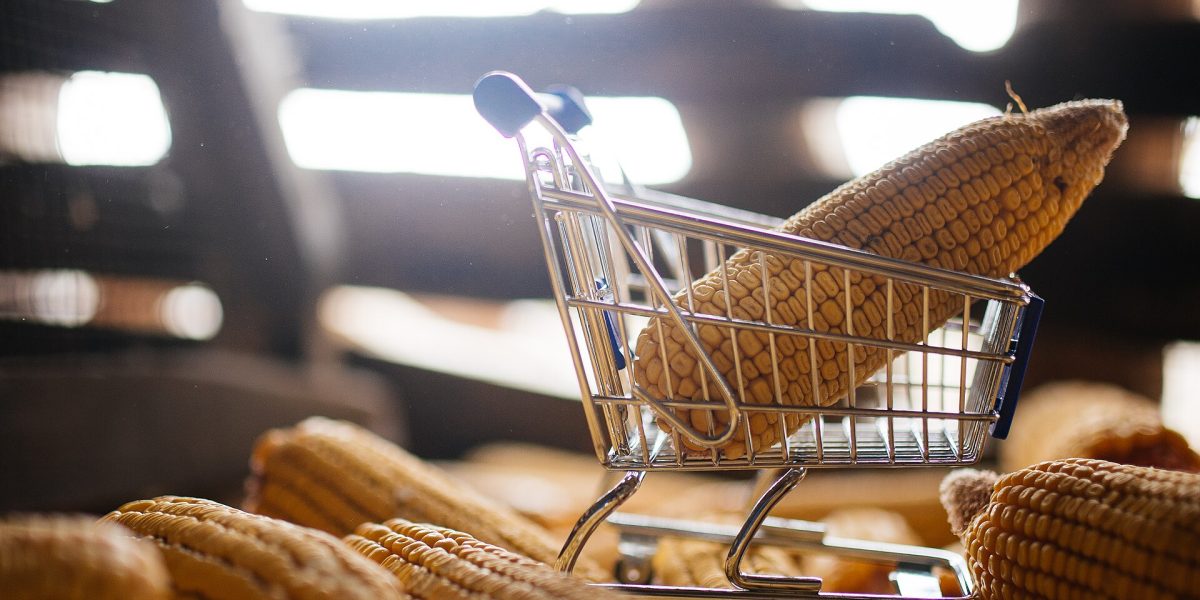 Cost of groceries — shopping trolley