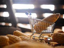 Cost of groceries — shopping trolley