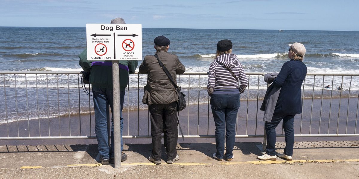 Dangerous dog orders — dog ban