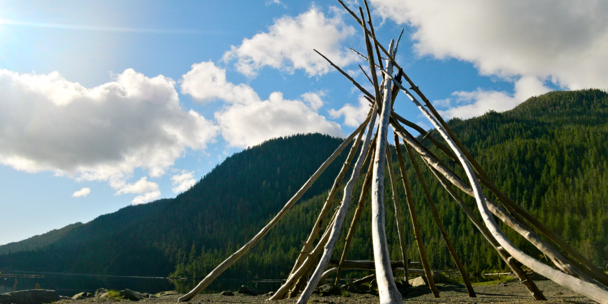 Driftwood sculptures and installations — driftwood sculpture