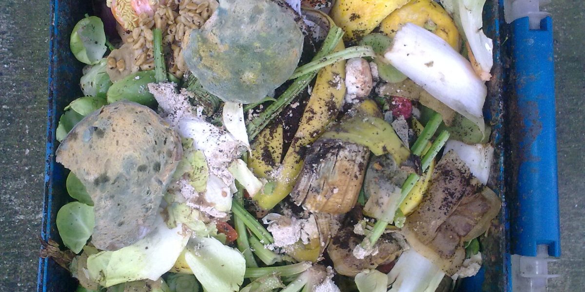 Produce freshness and food waste — food waste