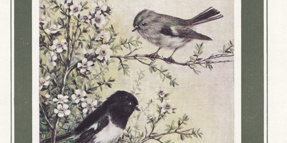 Forest & Bird