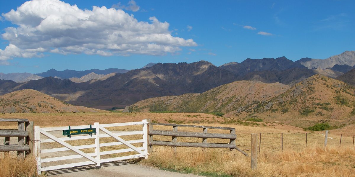 Molesworth Station