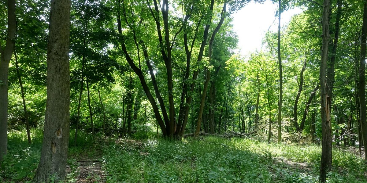 Conservation funding policy — conservation land