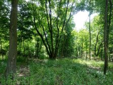Conservation funding policy — conservation land