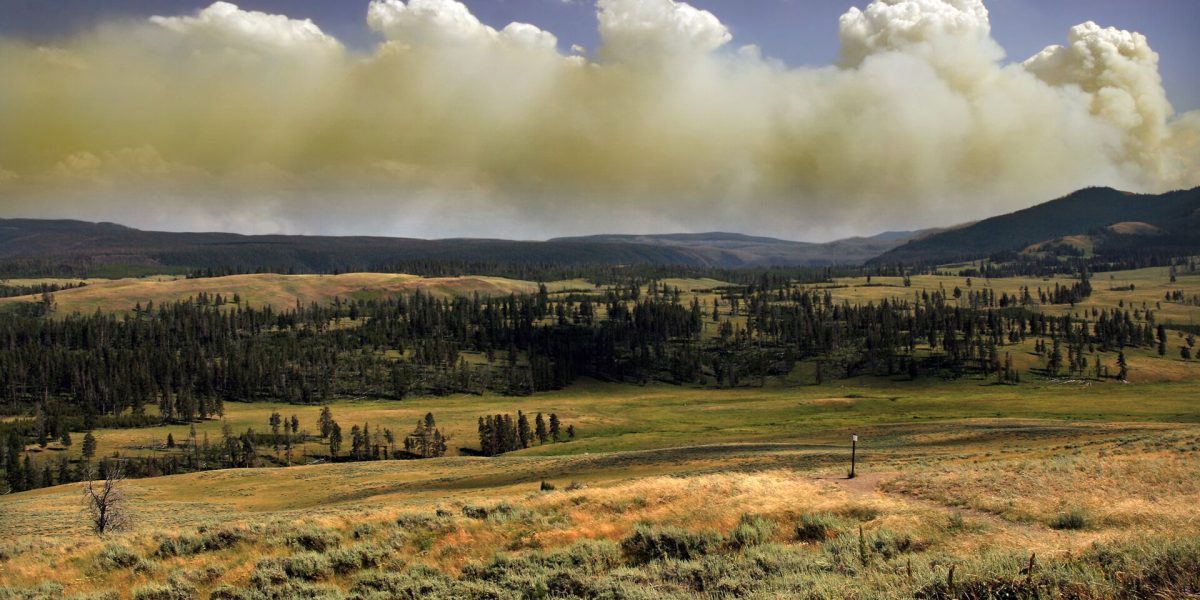 Extreme heat and wildfires — wildfire