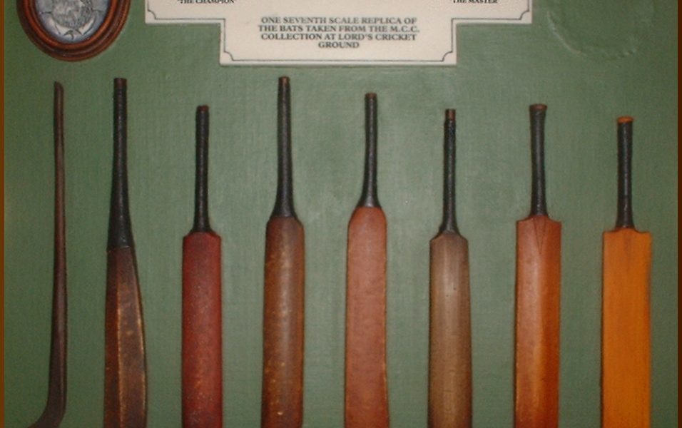 Cricket — cricket bat