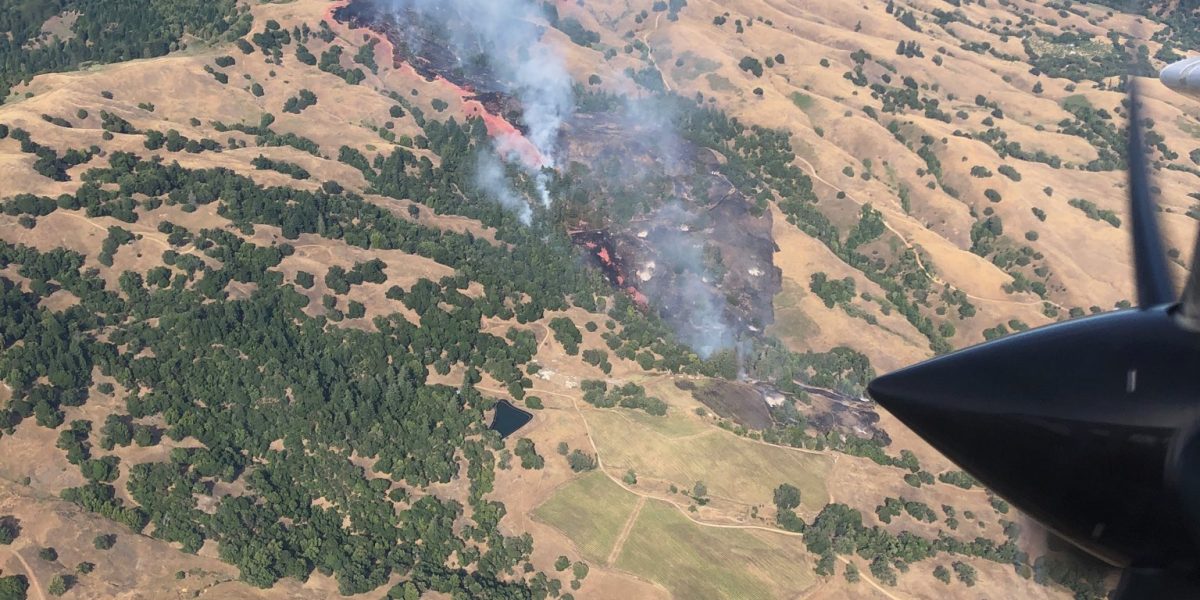 Wildfires in wine regions — vineyard fire