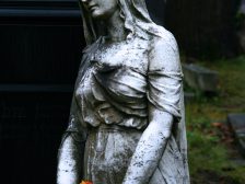 Grief and bereavement — grief