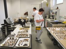 Archaeological excavations — archaeology