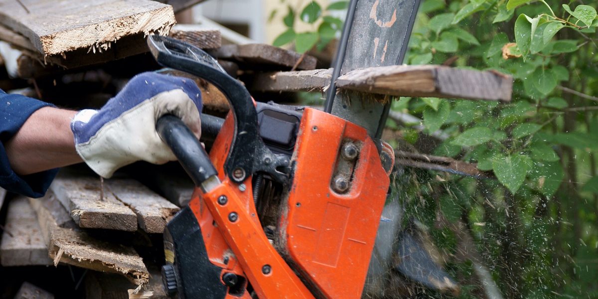 Tree felling accidents — chainsaw