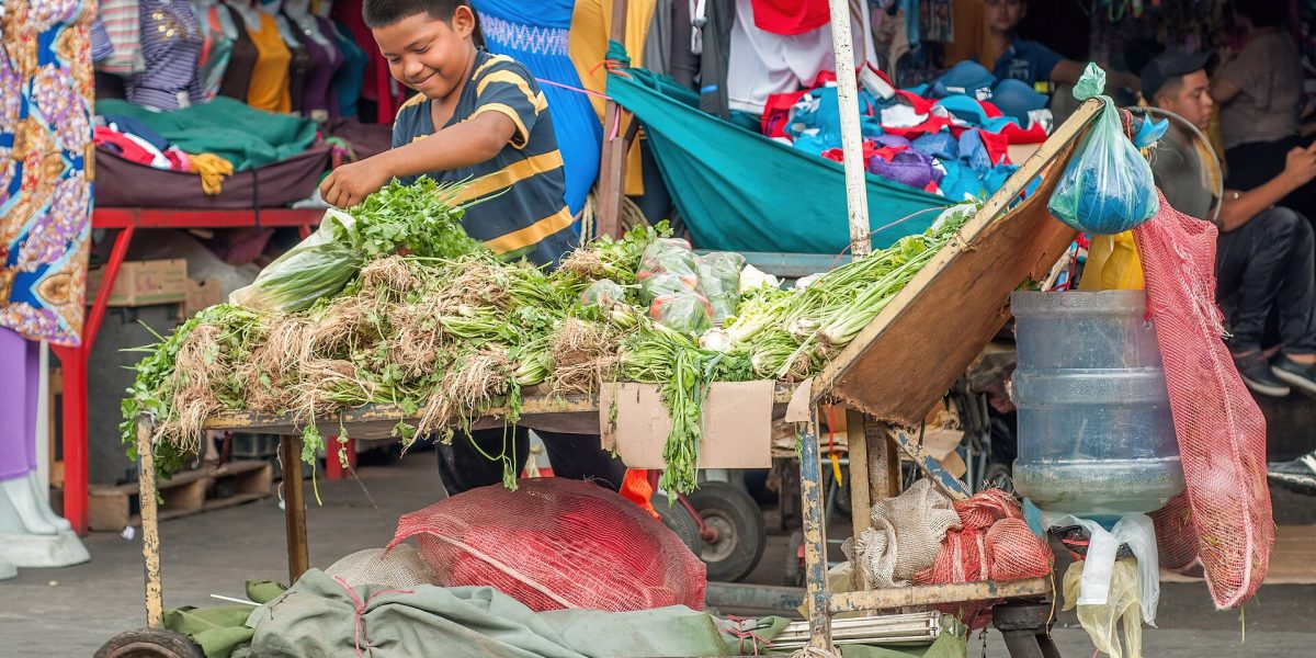 Produce industry mergers — vegetables