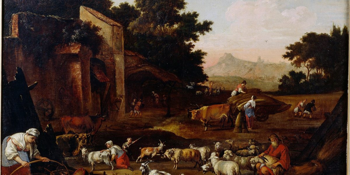 Wool market — sheep shearing