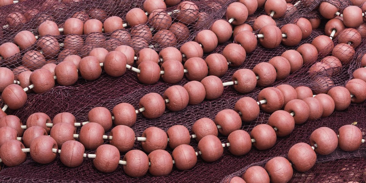 Customary fishing rights — fishing net