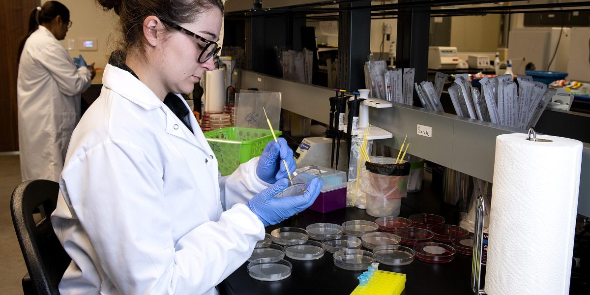 Food safety recalls — food safety