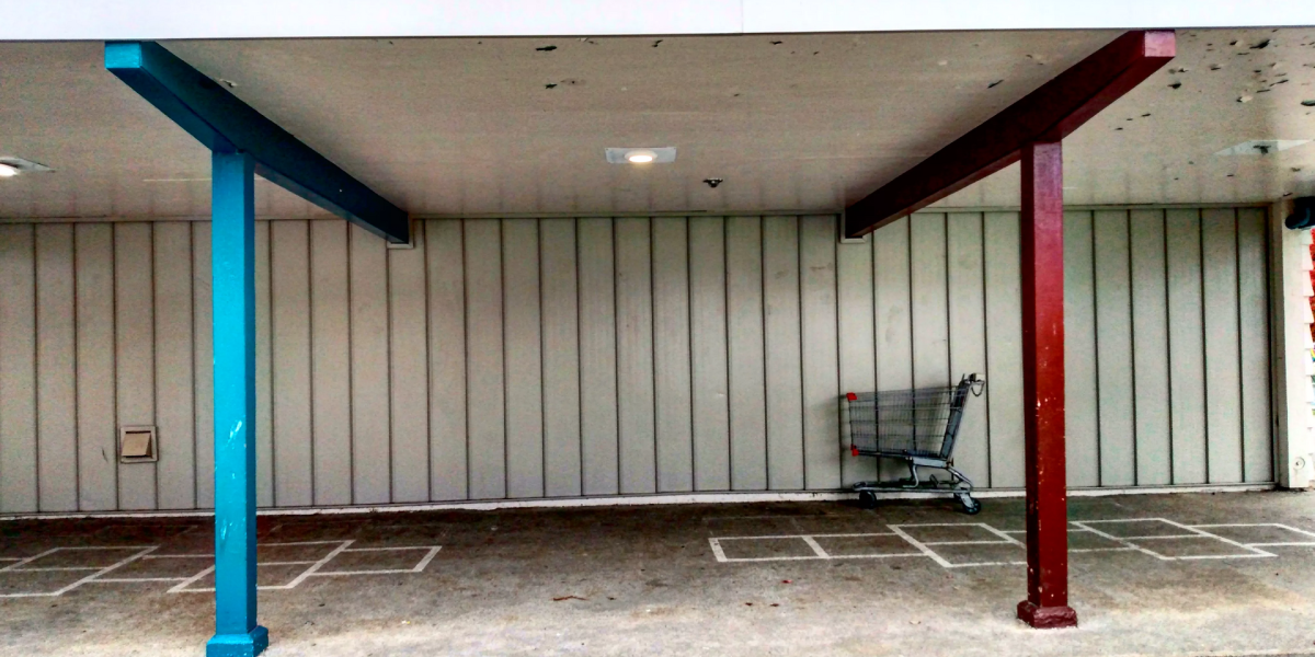 Grocery shopping habits — shopping cart