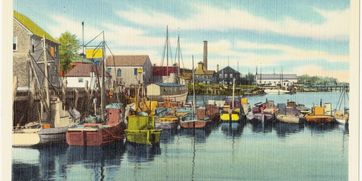 Scallop fisheries — scallop fishing
