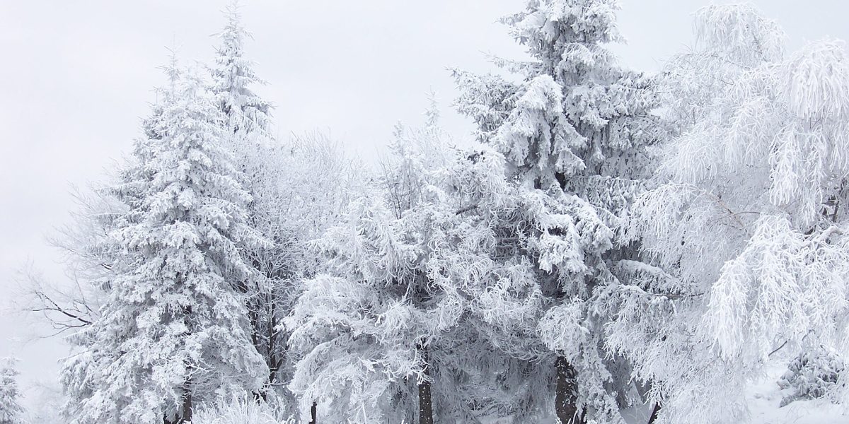 Climate and cold tolerance — snow