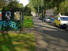 Urban tree protection — urban trees