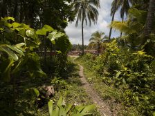 Forestry consenting — logging