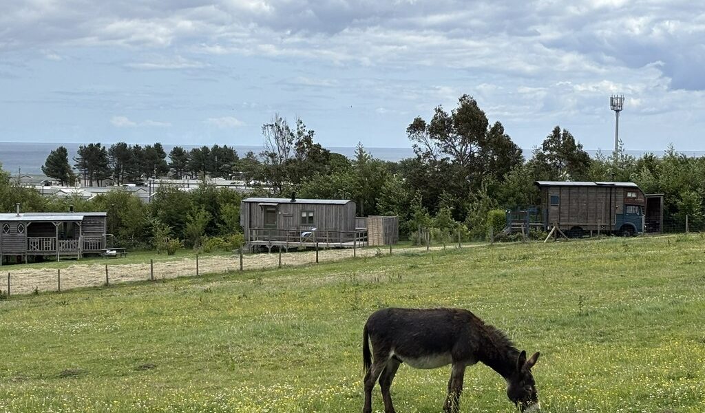 Glamping — glamping site
