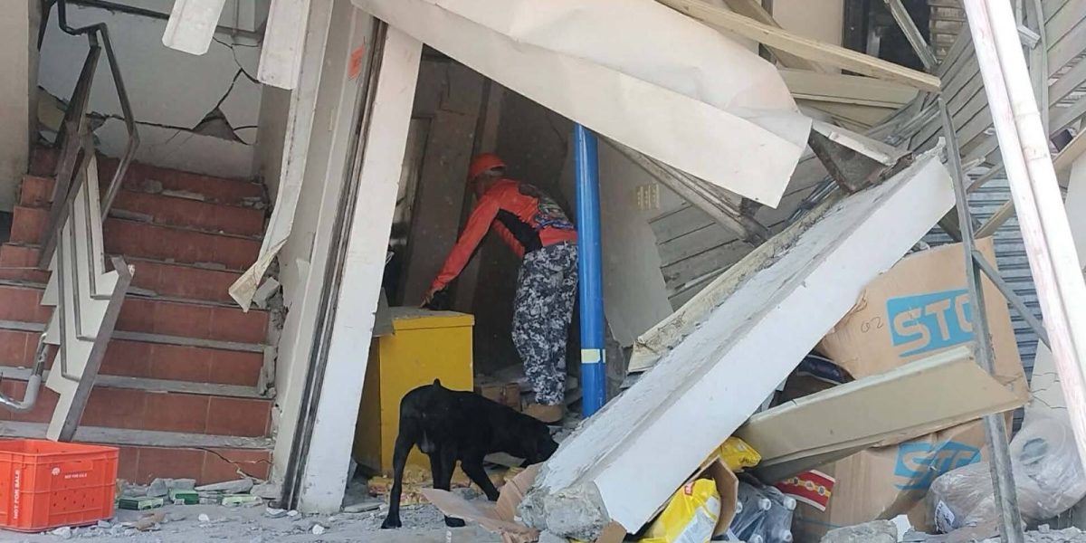 Building collapses — collapsed building