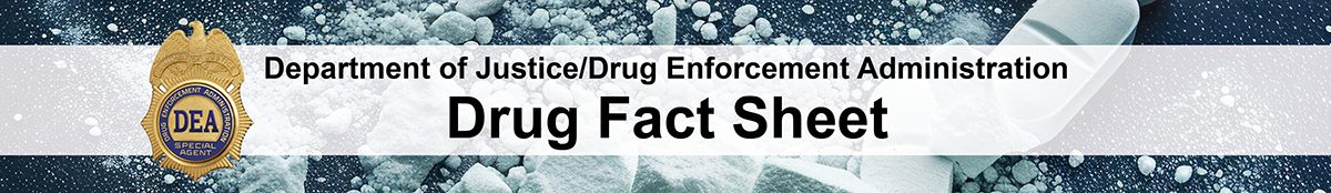Methamphetamine crisis — drug enforcement