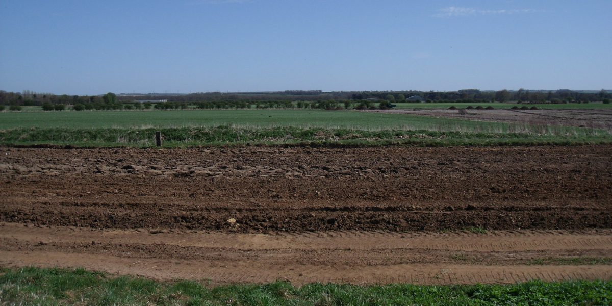 Farm succession — farmland
