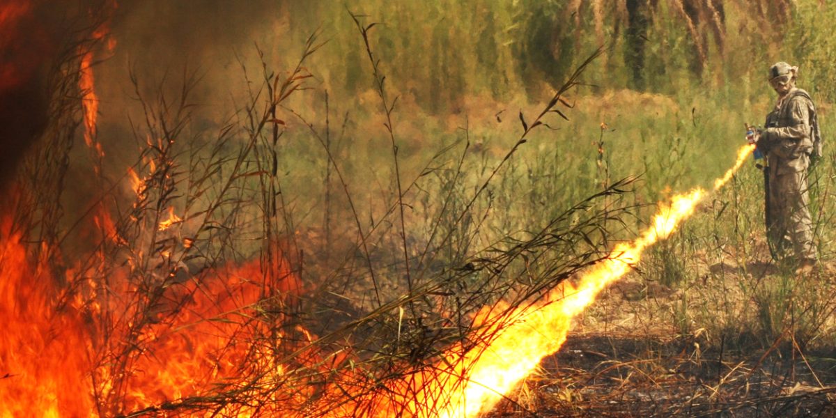 Flamethrower incidents — flame thrower