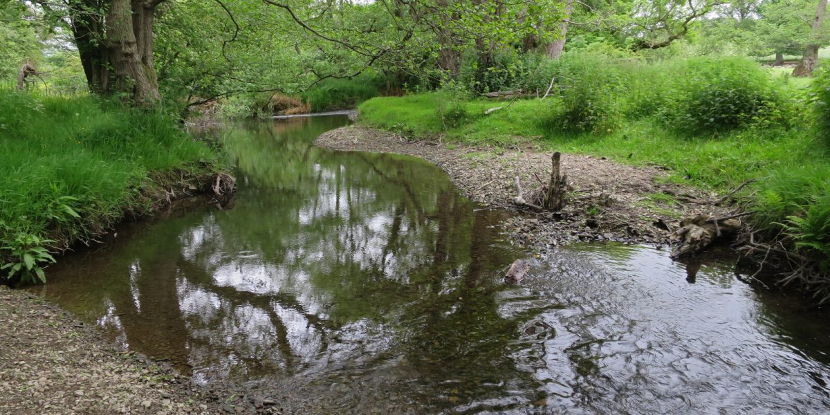 River cruise disruptions — low water river