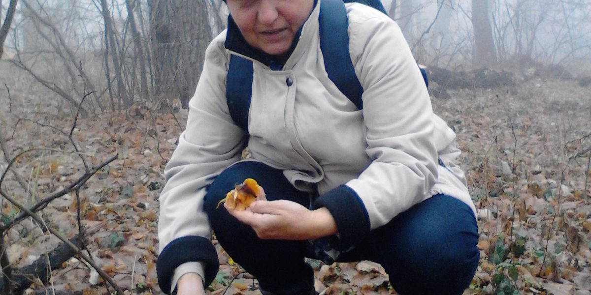 Wild foraging safety — mushroom picking