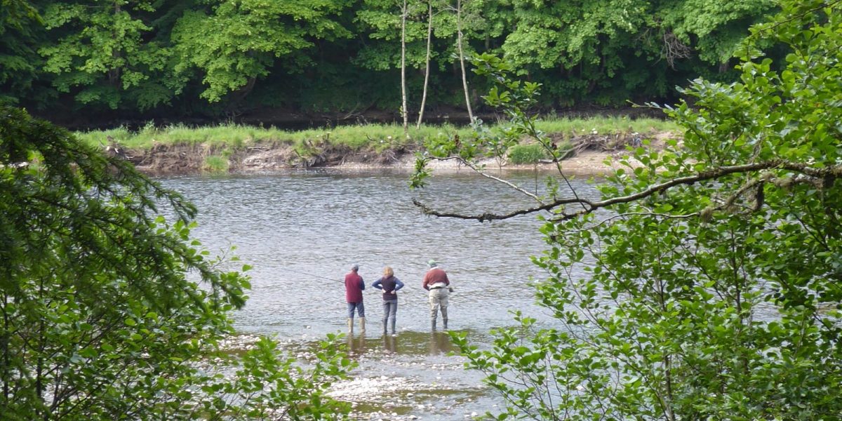 Fishing education — fishing lesson